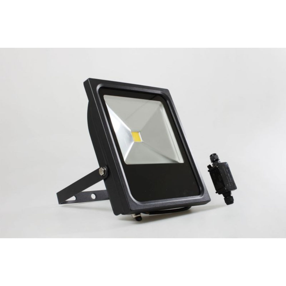 Floodlight Ip65 OFFERED: FITZGERALD CLASS I, IP65, GAR 250 MBI/ MK2 / P13