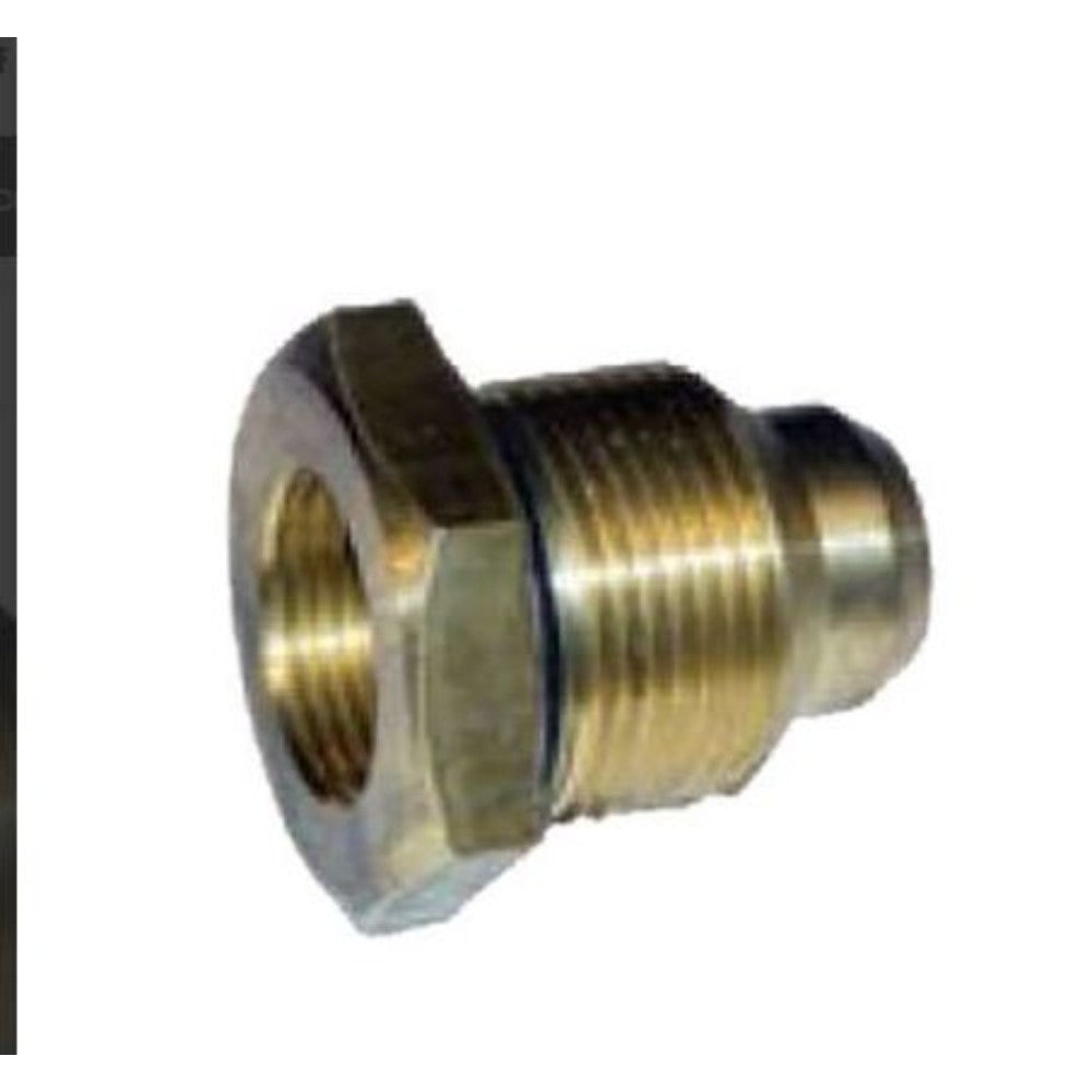 Valve, Check, Brass, 3/4 Inch Npt